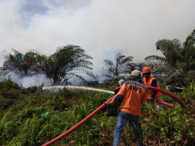 Petugas berusaha memedamkan api yang membakar belasan hektare lahan di Kabupaten Nagan Raya, Rabu (3/7). Foto: Dok. BPBA 