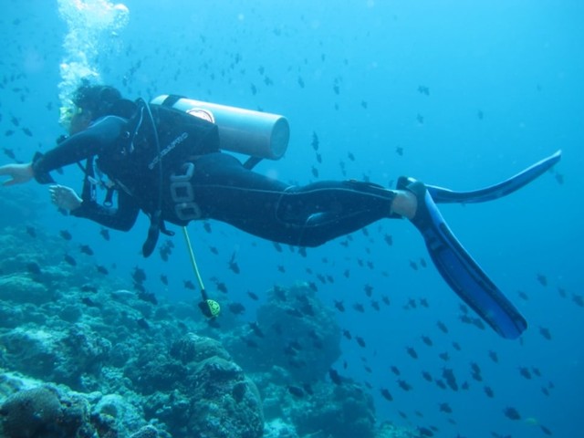 Ilustrasi diving menikmati keindahan bawah laut Sabang, Aceh. Foto: Suparta/acehkini