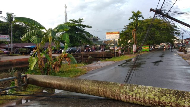 Sebuah pohon tumbang dan menimpa jaringan telepon di kawasan Sungai Raya Dalam. Foto: Difa Wahyu Fadila