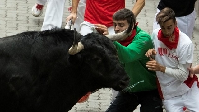 banteng bertarung Puerto de San Lorenzo saat festival San Fermin di Pamplona, Spanyol utara