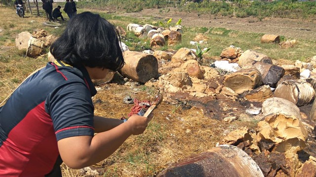 Temuan limbah berbentuk drum ditemukan di dekat bantaran Sungai Banjar Kanal Barat (BKB) Semarang. Foto: Afiati Tsalitsati/kumparan