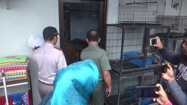 BKSDA dan Karantina Sidak Lokasi Penjualan Satwa Dilindungi (56073)