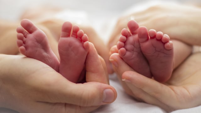 Ilustrasi bayi kembar. Foto: Shutterstock