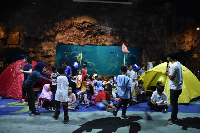 com-Program Camping Under The Sea dari Ancol