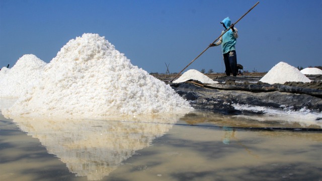 Petambak memanen garam di desa Tanjakan, Krangkeng, Indramayu. Foto: ANTARA FOTO/Dedhez Anggara