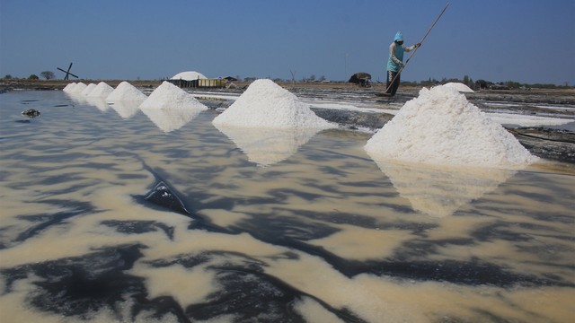 Petambak memanen garam. Foto: ANTARA FOTO/Dedhez Anggara