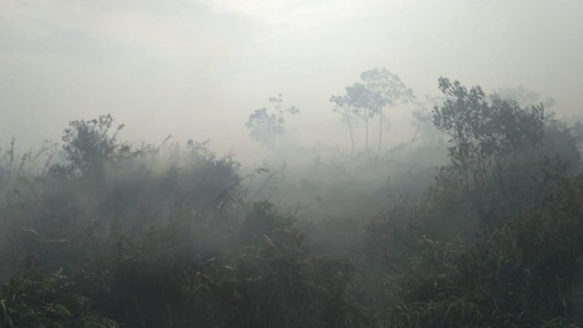 Asap kebakaran lahan di kawasan Kabupaten Nagan Raya, Aceh, Selasa (9/7). Foto: Dok. BPBA