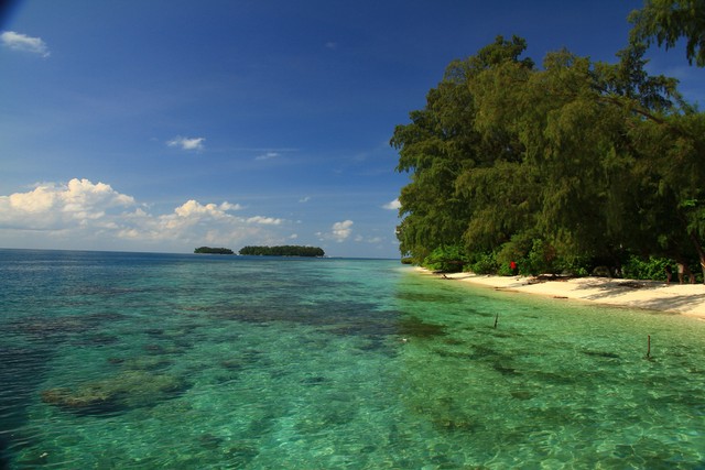 com-Ilustrasi Pulau di Jakarta Foto: Shutterstock