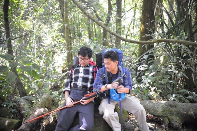 Alif 1.jpg