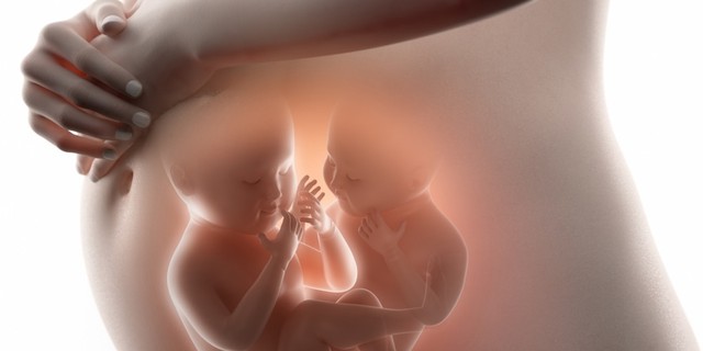 Ilustrasi hamil bayi kembar. Foto: Shutterstock
