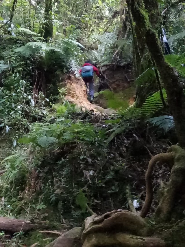 Puncak Semakin Dekat, Namun Terasa Menjauh (21175)