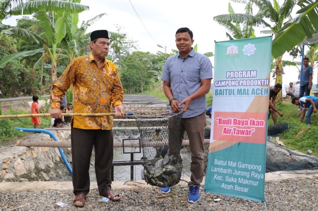 Panen Perdana Budi Daya Ikan Nila Binaan Baitul Mal Aceh.jpeg