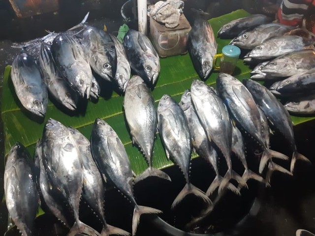 Sejumlah ikan yang dijual di Pasar Arumbai, Mardika Ambon (Foto: Doc.ambonnesia)