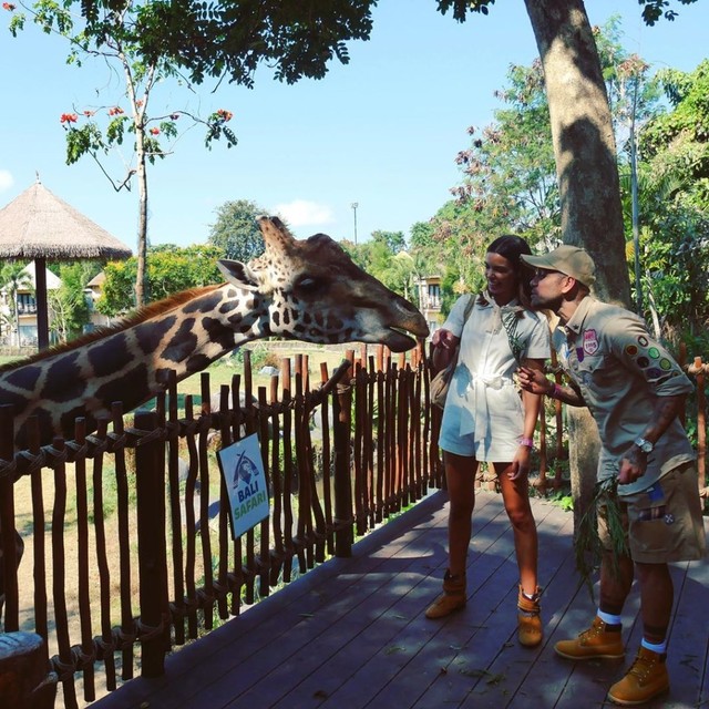 Dani Alves yang sedang bermain dengan gajah Foto: Instagram/@danialves