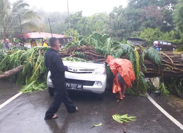 Pohon tumbang menimpa mobil anggota Direktorat Intelkam Polda Papua. (Foto dok. Polda Papua)