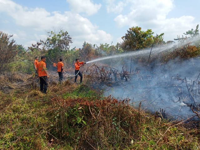 Beberapa petugas BPBD tengah memadamkan api di lahan yang berlokasi di Kelurahan Kayuara, Musi Banyuasin, Selasa (16/7) (foto: BPBD Sumsel)