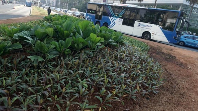 Lokasi getah-getih kesenian bambu di Bundaran HI