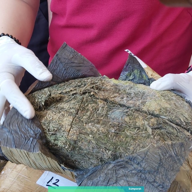 Konferensi pers paket ganja 30 KG dan pengedar yang ditangkap di Surabaya.