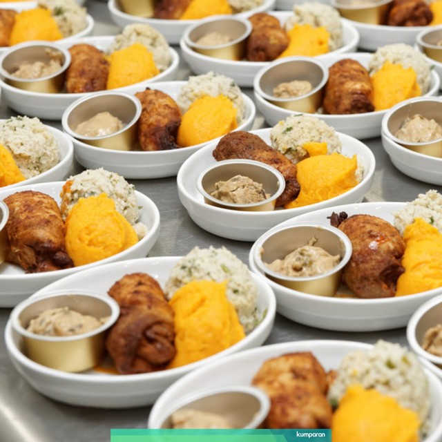 5 Tips Memilih Menu Makanan Enak saat di Pesawat Ilustrasi Makanan Pesawat