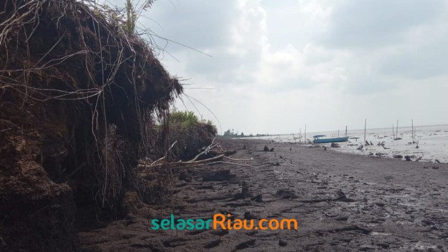 Akibat Abrasi, 4 Pulau Gambut di Riau Terancam Tenggelam (27968)