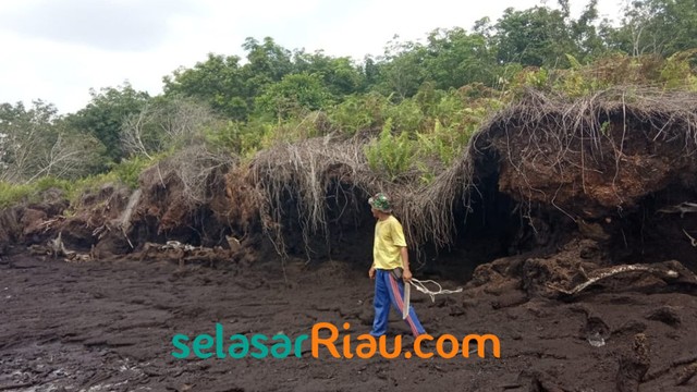 Seorang warga di wilayah Dusun Tambak Rejo yang terkena abrasi, Kamis (18/7).