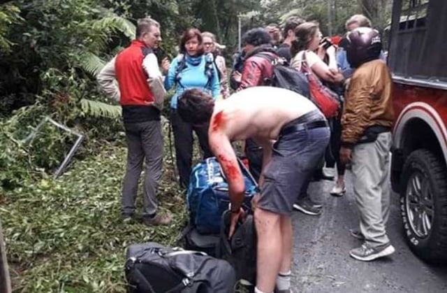 Mobil Rombongan Turis Asing Kecelakaan di Banyuwangi, 3 Orang Terluka