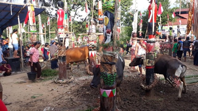 Ritual Tiwah, Upacara untuk Mengantarkan Arwah dalam Suku Dayak (339500)