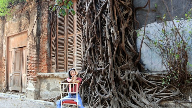 Rumah Akar