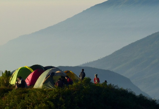 P9A.jpg