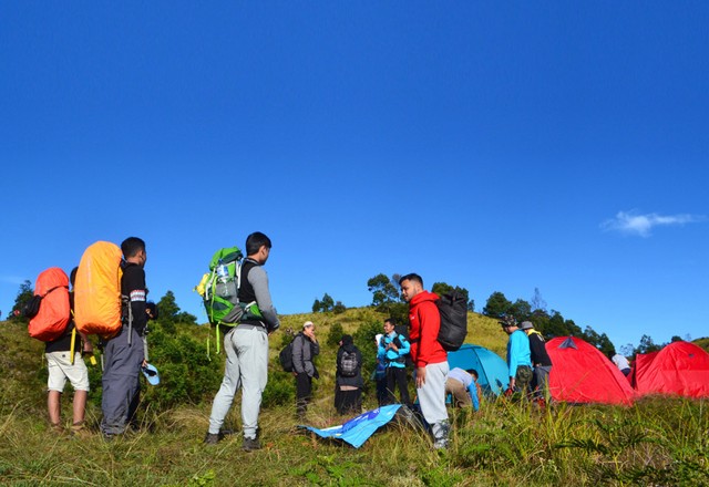 P7.jpg