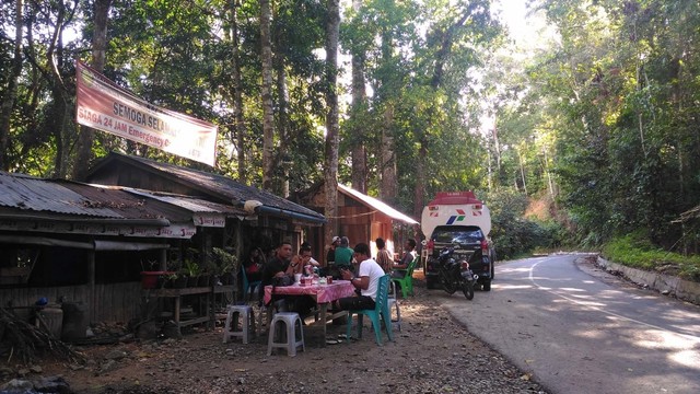 Atasi Krisis Ekologi, Jambore Nusantara Digelar di Kawasan Leuser (235543)