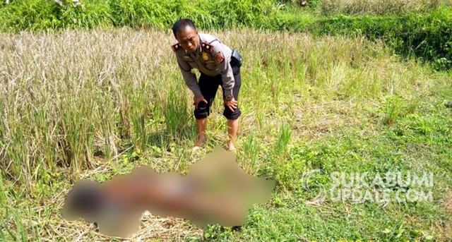 Mayat tanpa identitas ditemukan di Kampung Rawey Kelurahan Sukakarya, Kecamatan Warudoyong, Kota Sukabumi, Minggu (21/7/2019) sekitar pukul 10.30 WIB. | Sumber Foto:Istimewa