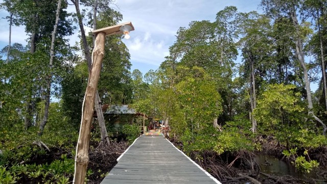 Jembatan di Wisata mangrove. Foto: Rajif Duchlun/cermat