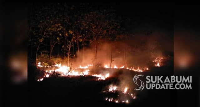 Ladang dan hutan di area perbukitan Kampung Ciagra RT 03/02 Desa Mandrajaya, Kecamatan Ciemas, Kabupaten Sukabumi terbakar pada Minggu (21/7/2019) petang, sekitar pukul 18.00 WIB. | Sumber Foto:Istimewa