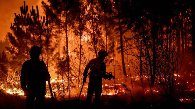 Kebakaran di Macao, Portugal. Foto: AFP/Patricia de Melo Moreira