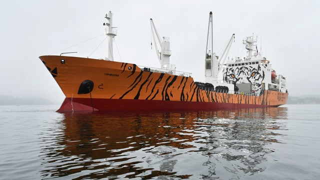 Ilustrasi kapal kargo. Foto: REUTERS/Yuri Maltsev