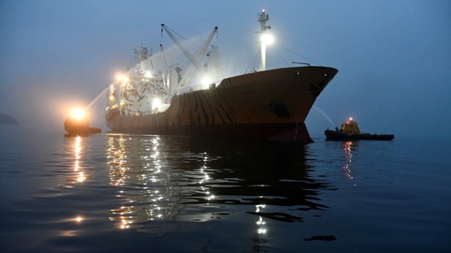 Ilustrasi kapal kargo. Foto: REUTERS/Yuri Maltsev