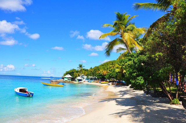 Pulau Mustique di Karibia Foto: Shutter Stock
