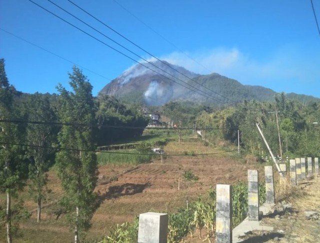 Tim Gabungan Belum Berhasil Padamkan Api di Gunung Panderman