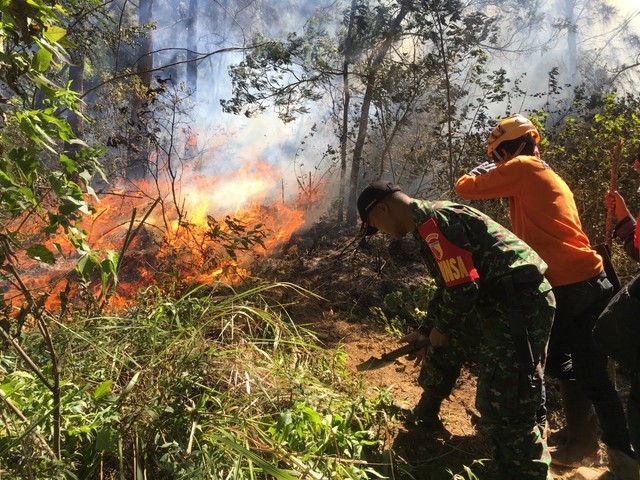 Para petugas berusaha memadamkan api di Gunung Panderman, Senin (22/7). Foto: BPBD Kota Batu for tugumalang.id.