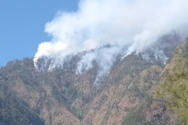 Kebakaran yang terjadi di Gunung Wilis, Kabupaten Nganjuk, Senin (22/7). Hingga Selasa siang (23/7), petugas masih berusaha memadamkan api. Foto: BPBD Kota Nganjuk for tugumalang.id
