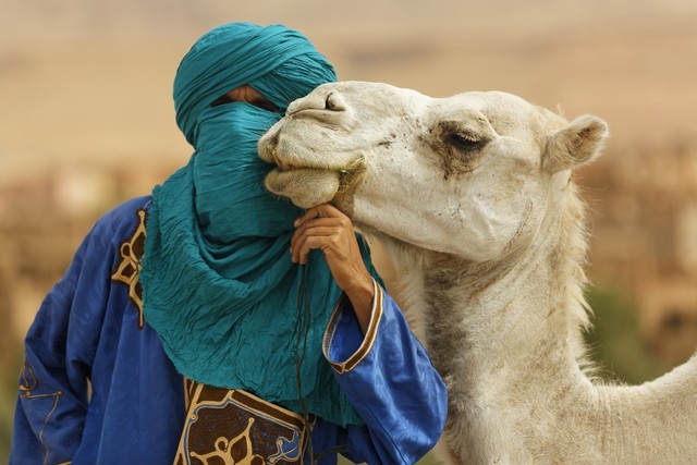 Pria dari Suku Tuareg