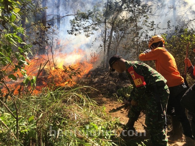 BPBD Pertimbangkan Water Bombing untuk Kebakaran Gunung Panderman