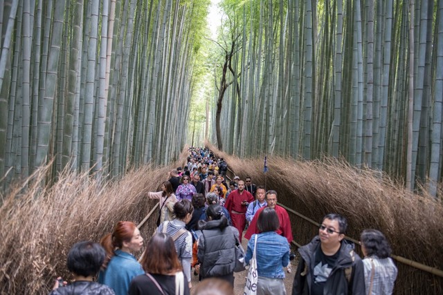Wisatawan di Arashiyama Bamboo Grove, Jepang