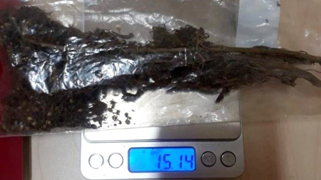 Jefri Nichol, kasus narkoba, ganja