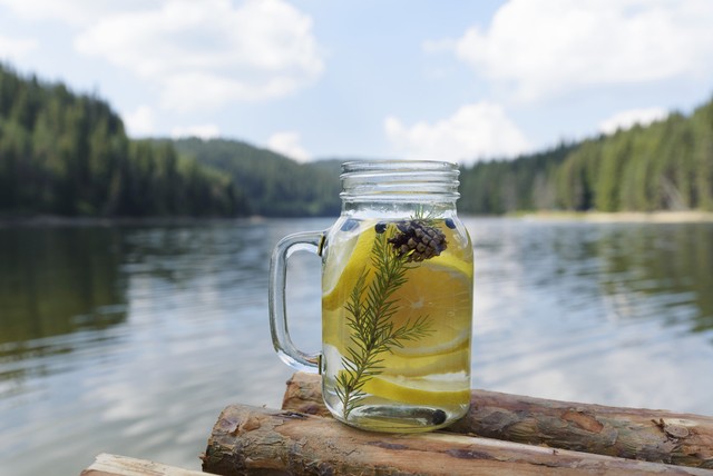 Ilustrasi infused water dari daun pinus Foto: Shutterstock