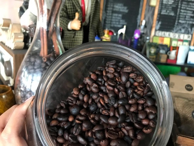 Biji kopi Robusta yang digunakan di kedai kopi milik Bayu. Foto: Teri