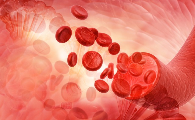 Ilustrasi Pembekuan Darah. Foto: Shutterstock