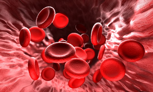Ilustrasi Pembekuan Darah. Foto: Shutterstock