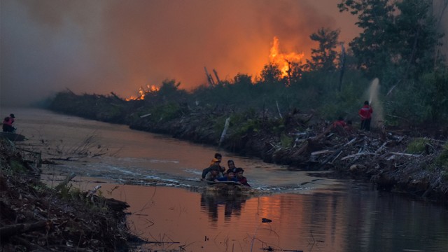 Kebakaran lahan gambut di Riau. Foto: ANTARA FOTO/FB Anggoro